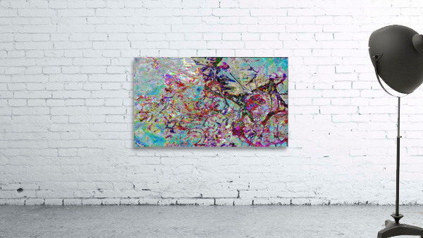 1 Wall Preview