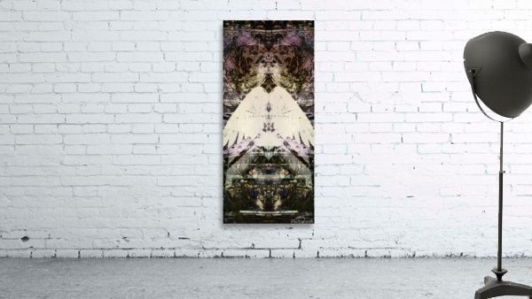 Ascendant Wall Preview