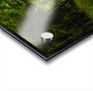 Alabama Backroad Acrylic print