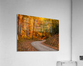Burnsville Backroad  1 Acrylic Print
