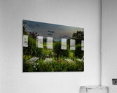 Wild Flower Delight Acrylic Print