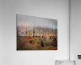 Graveyard Fields 1 Acrylic Print