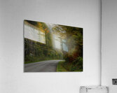 Into The Mist Acrylic Print