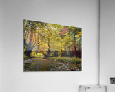 Reems Creek Fall  Acrylic Print
