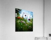 Butterfly Garden Acrylic Print