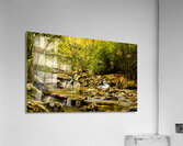 Rocky Fork III Acrylic Print