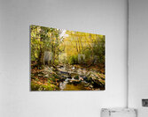 Rocky Fork II Acrylic Print