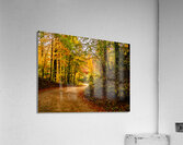 Hwy 197 Fall Acrylic Print