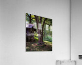 Old Spring House Acrylic Print