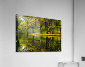 Reflections  2 Acrylic Print