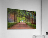 Alabama Backroad Acrylic Print