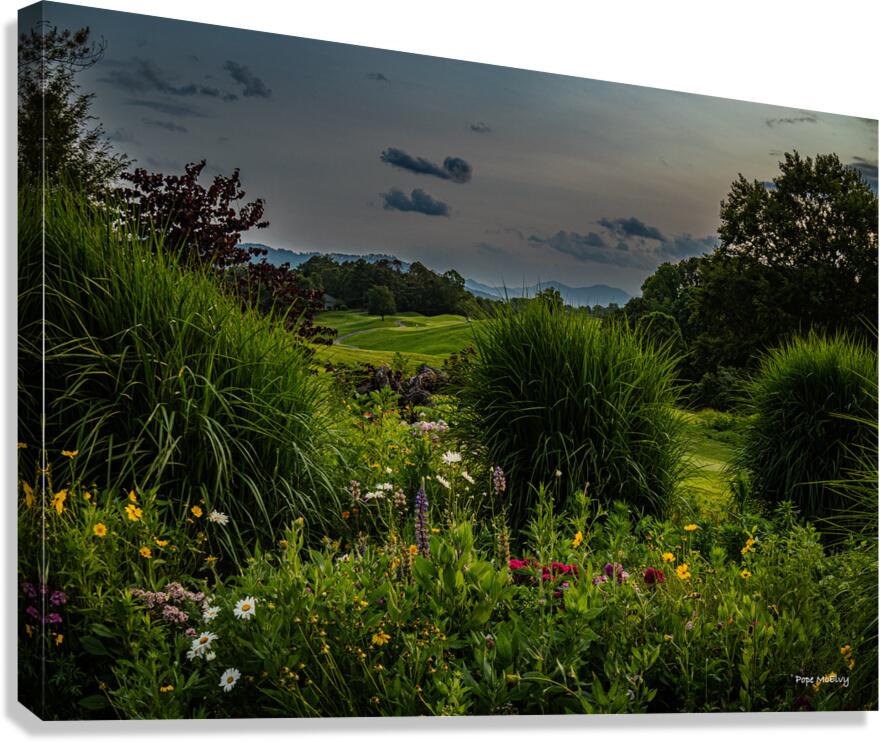 Wild Flower Delight Canvas Print