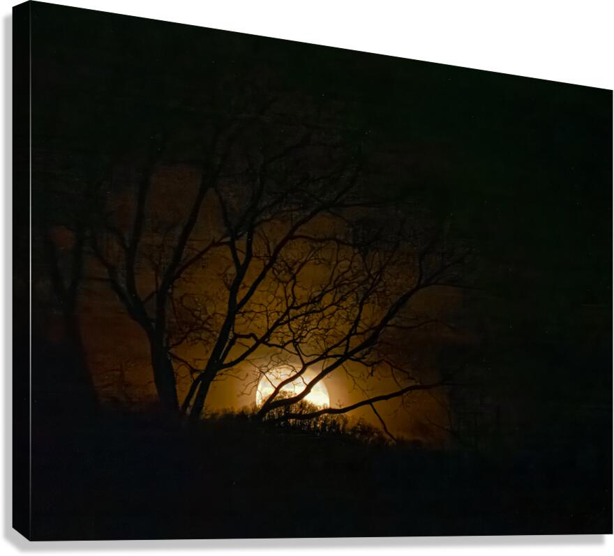 Wolf Moon Rising  1 Canvas Print
