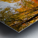 Burnsville Backroad  2 Metal print