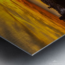 Gulf Coast Sunset 1 Metal print