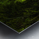 Alabama Backroad Metal print