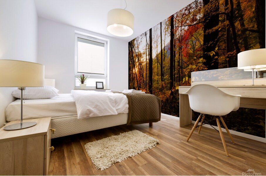 Sunset Through Fall Foliage Mural print