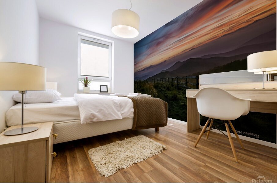 Max Patch Path Mural print