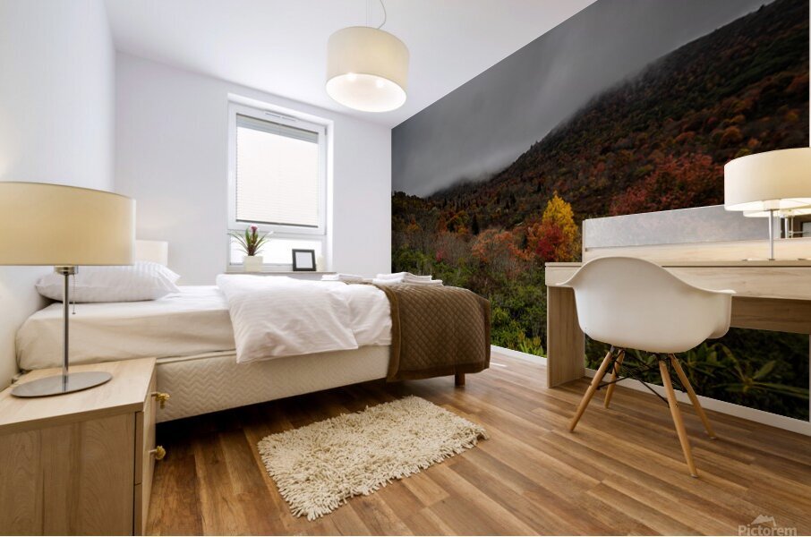 Graveyard Fields 2 Mural print