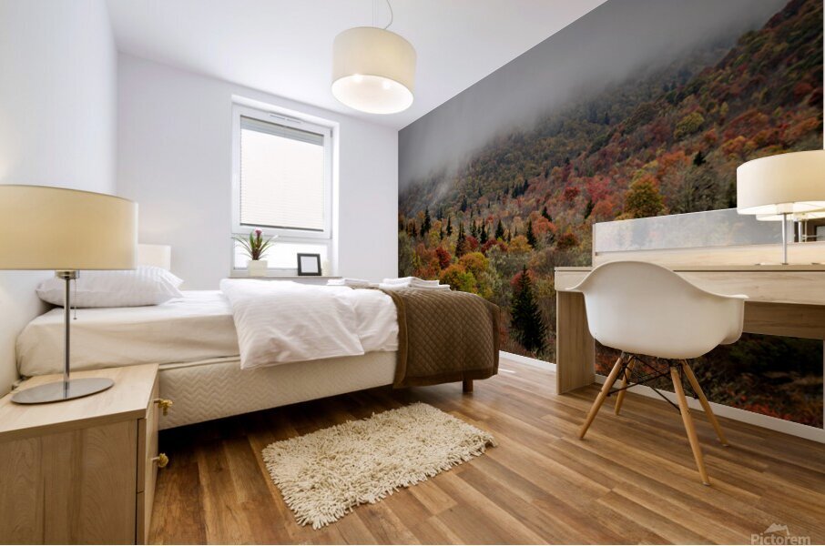 Graveyard Fields 1 Mural print