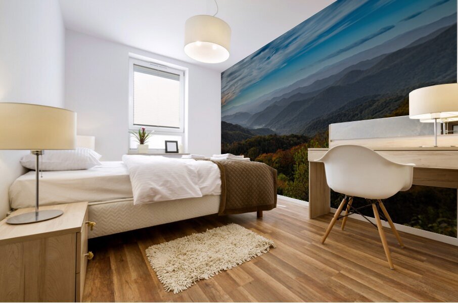 Valley From BRP Mural print
