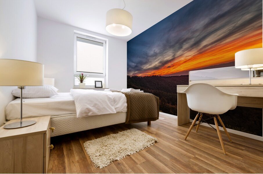 BRP Sunset  2 Mural print