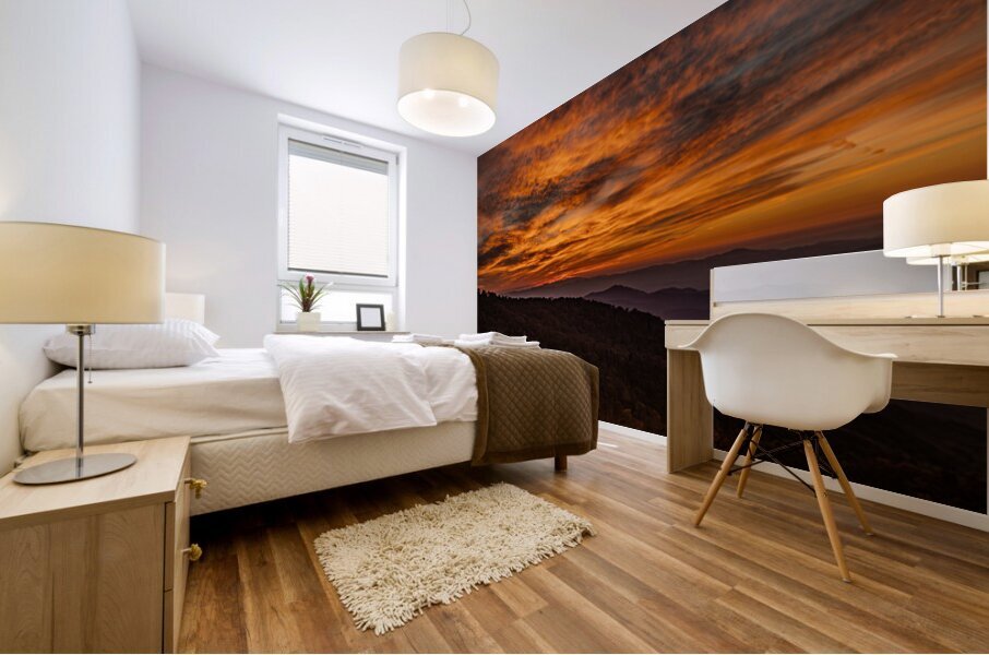 BRP Sunset Mural print