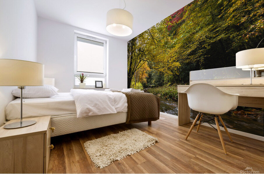 Reems Creek Fall  Mural print