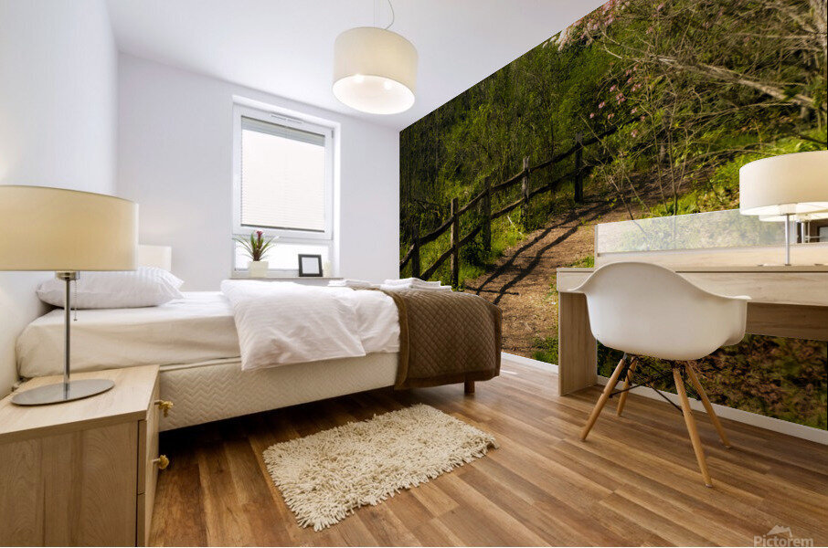 Path by Blooming Tree Mural print