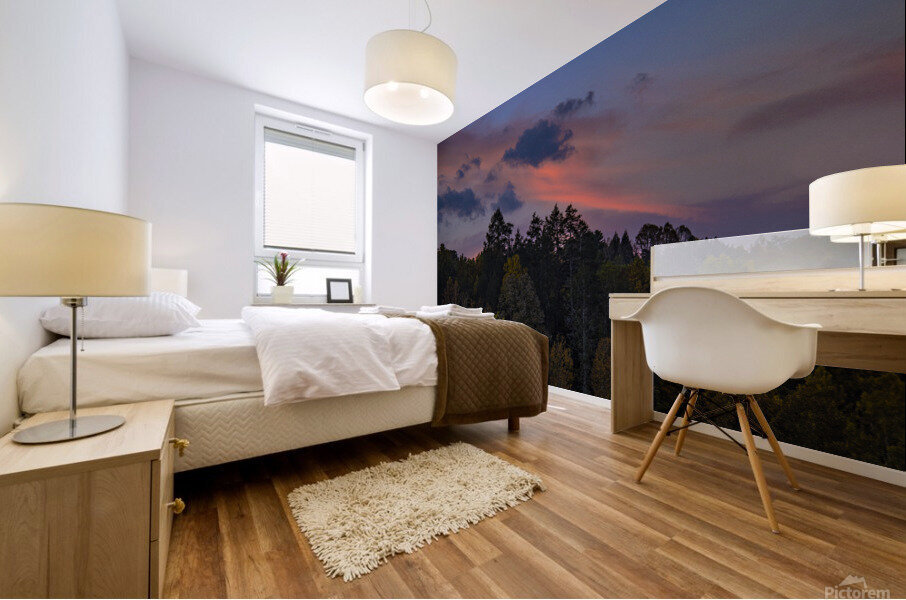 Sunset Over Hillside Mural print