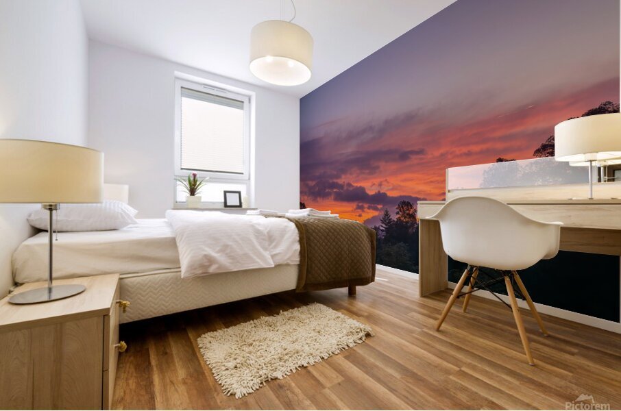 Sunrise Delight Mural print