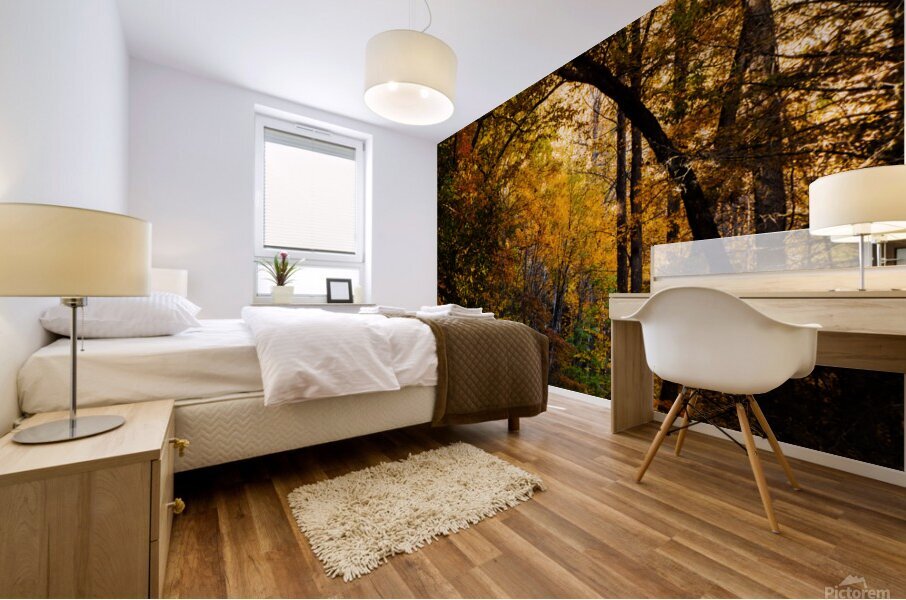 Pisgha Forest Trail Mural print