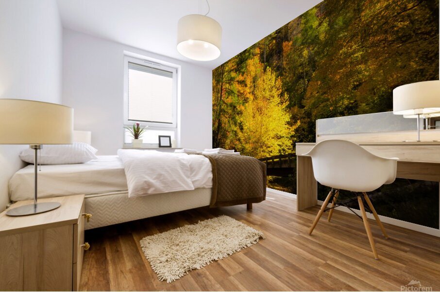 Murray Creek Crossing Mural print