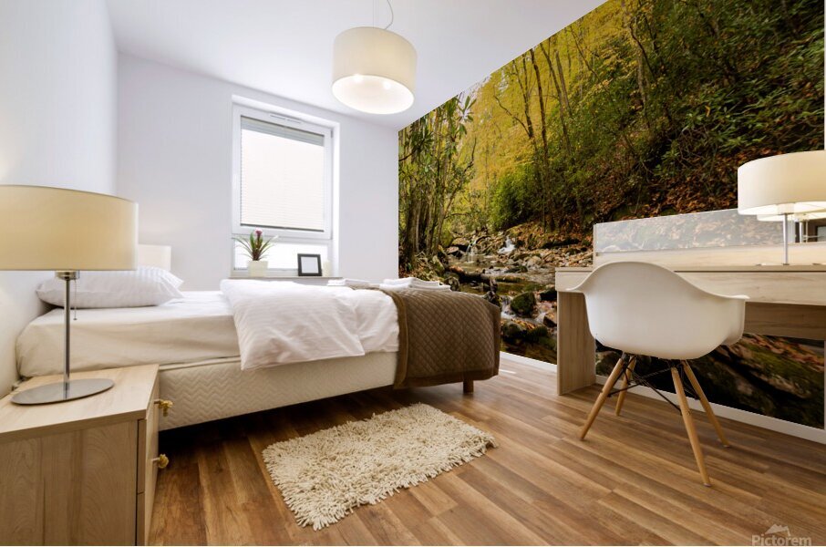 Rocky Fork II Mural print
