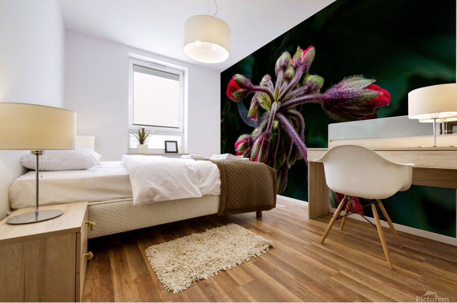 Red Flower Buds Mural print
