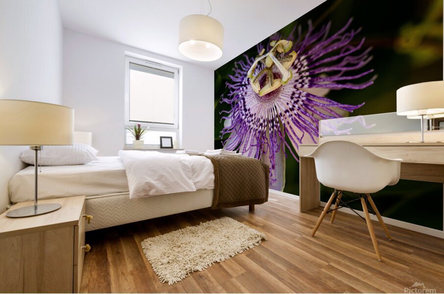 Passion Flower Mural print