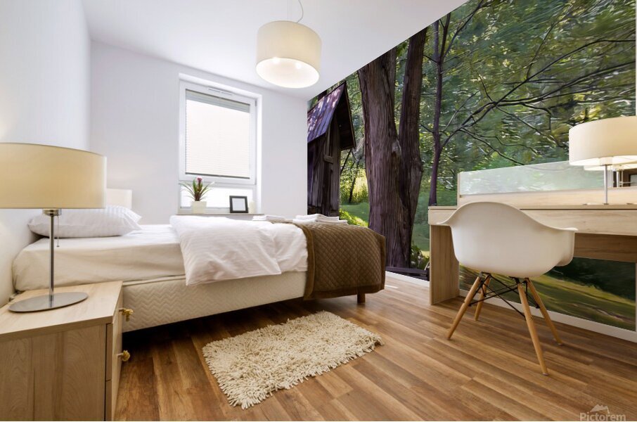 Old Spring House Mural print