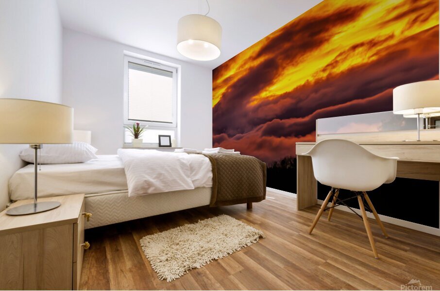 Sunset Synergy Mural print
