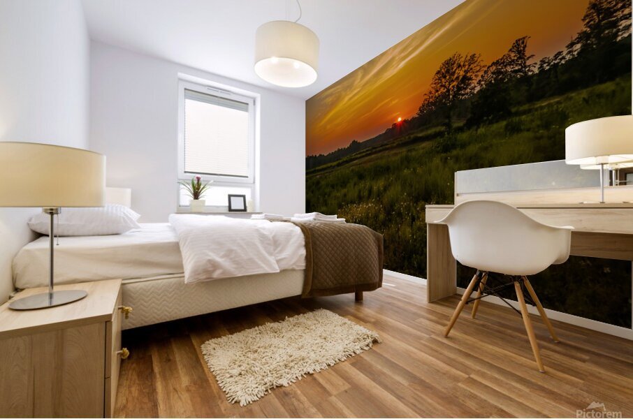 Alabama Sunset Mural print