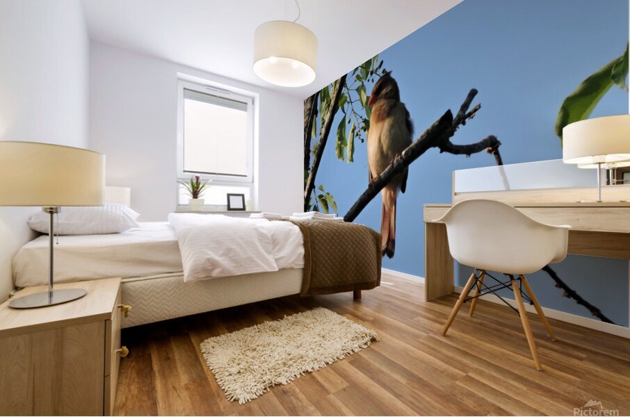 Bird on limb 2 Mural print
