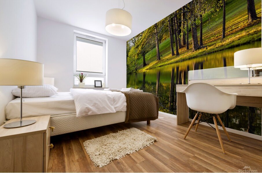 Reflections  2 Mural print