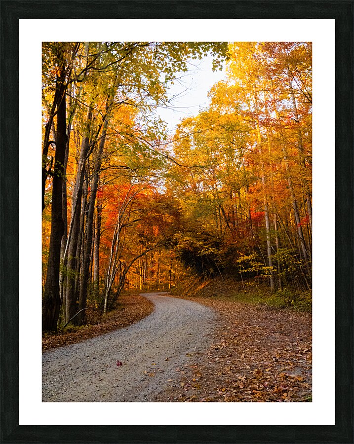 Burnsville Backroad  2 Picture Frame print