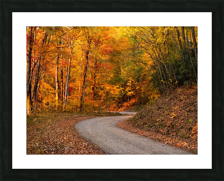 Burnsville Backroad  1 Picture Frame print