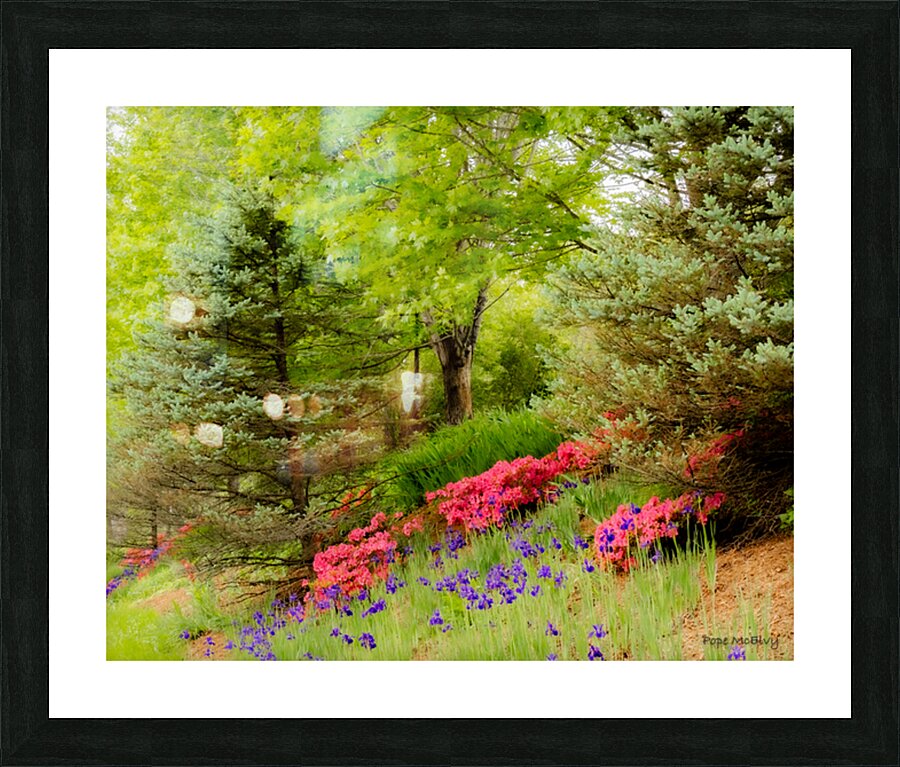 Spring Bloom Picture Frame print