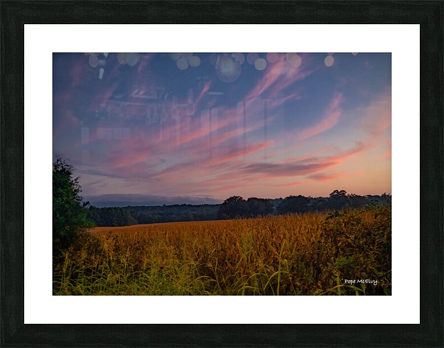Evening Corn Field Picture Frame print
