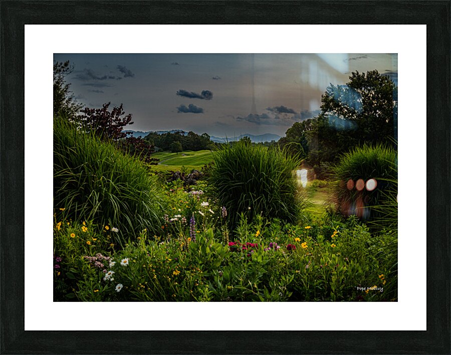 Wild Flower Delight Picture Frame print