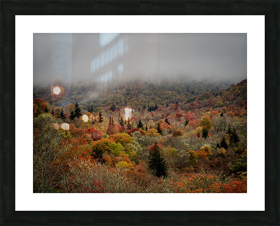 Graveyard Fields 1 Picture Frame print