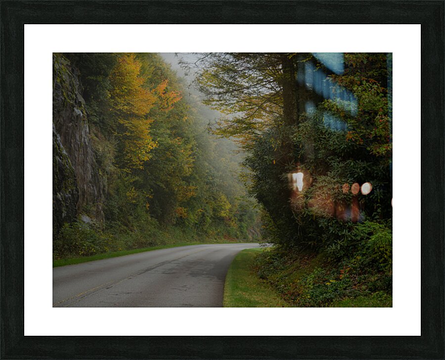 Into The Mist Picture Frame print