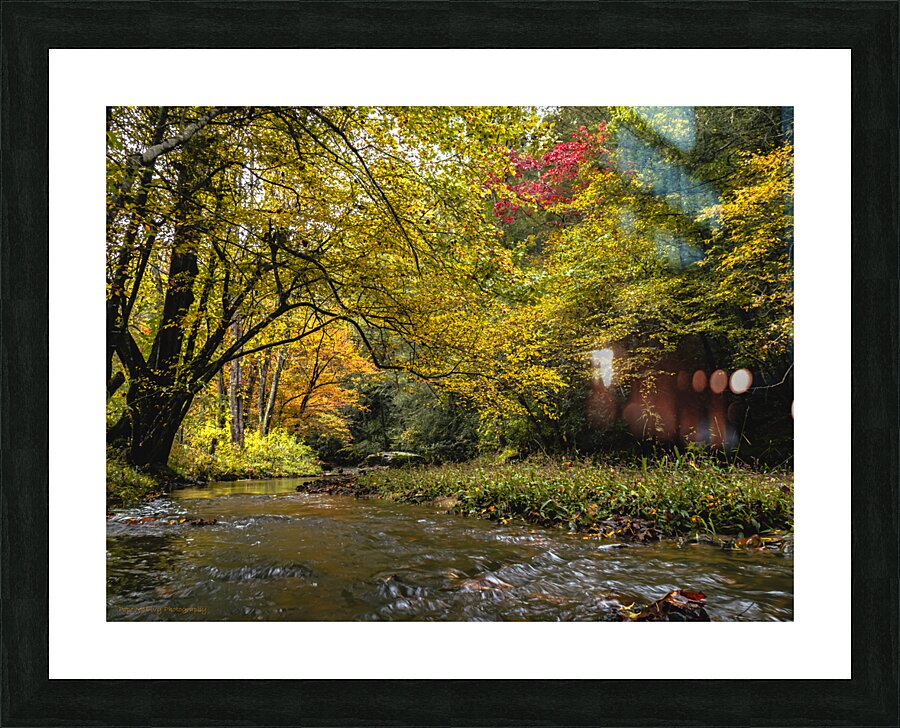 Reems Creek Fall  Picture Frame print