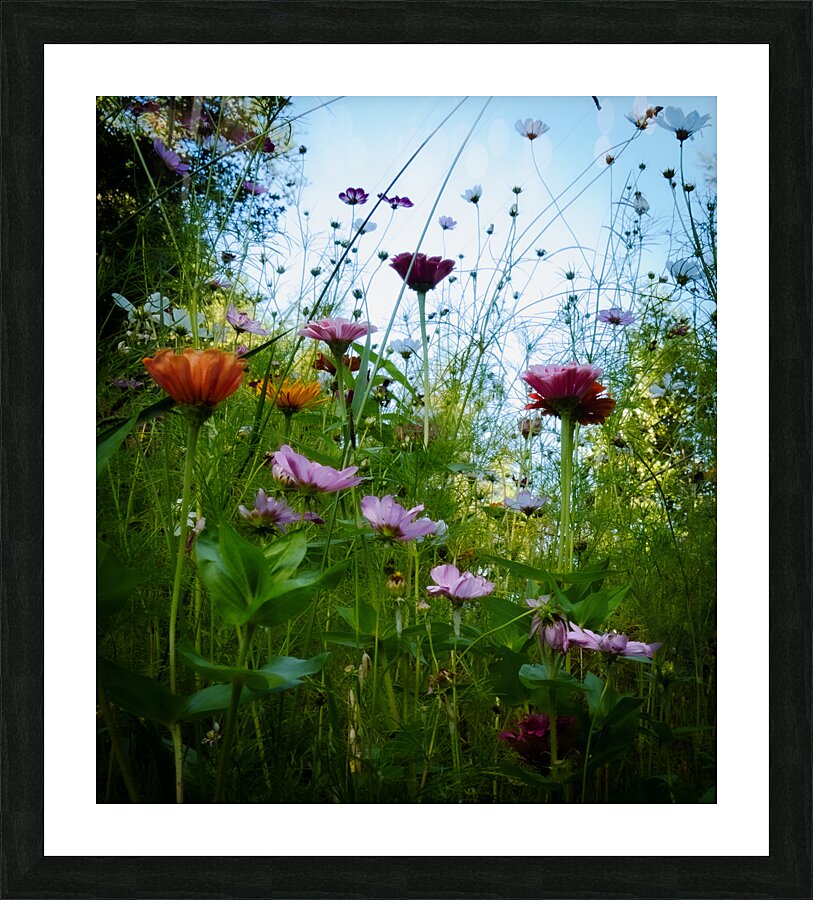Butterfly Garden Picture Frame print
